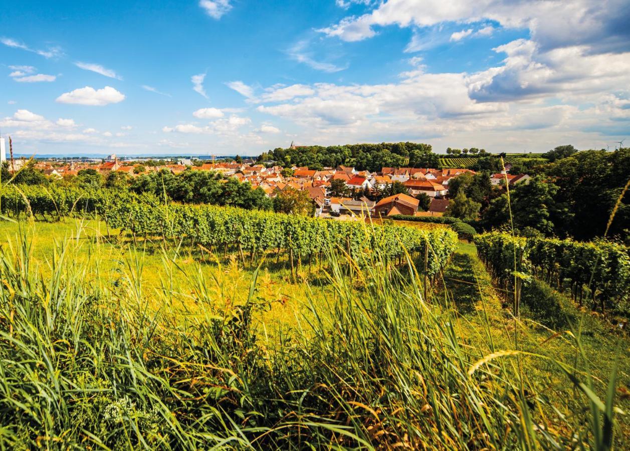 Gaestehaus Steinmuehle Osthofen Esterno foto