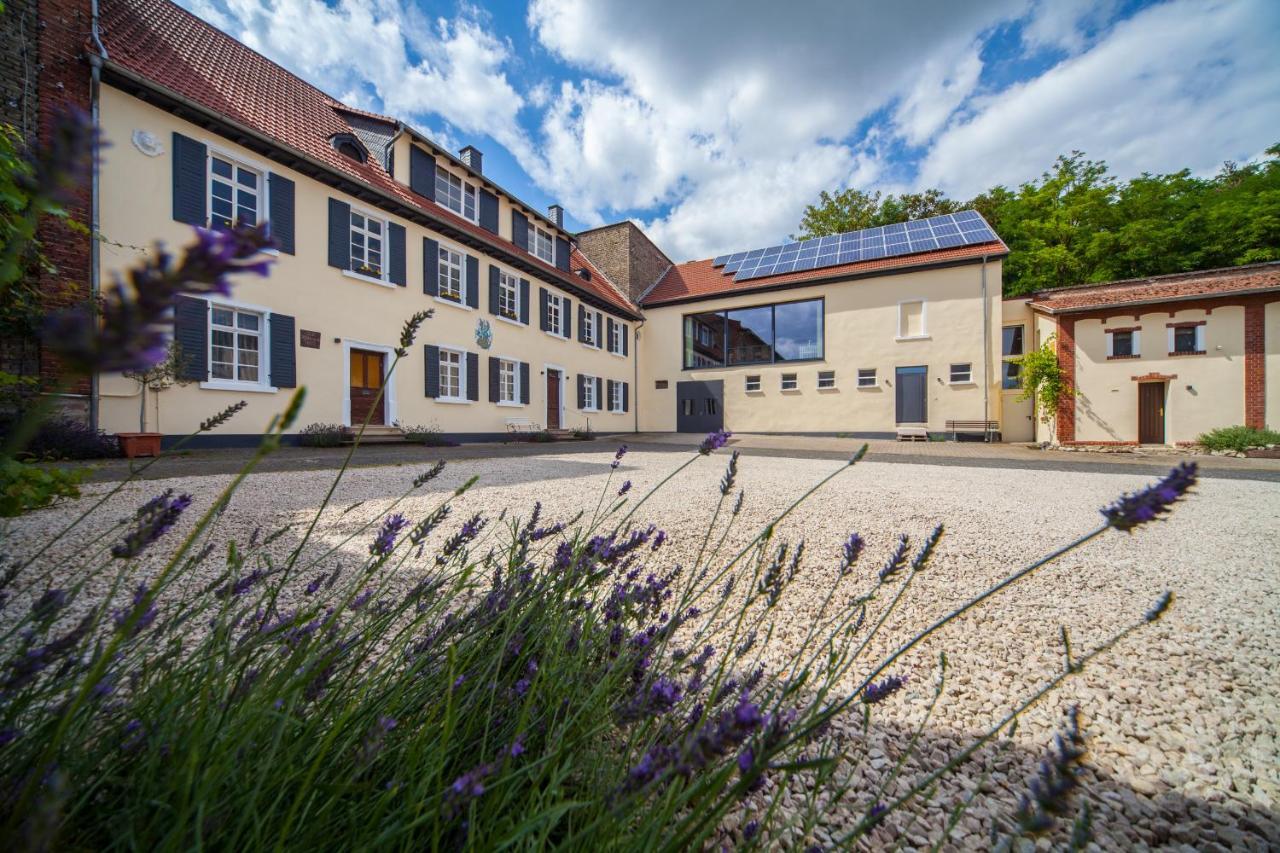 Gastehaus Steinmuhle Hotel Osthofen Esterno foto