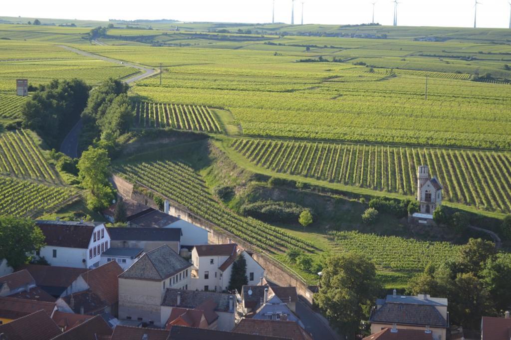 Gaestehaus Steinmuehle Osthofen Esterno foto