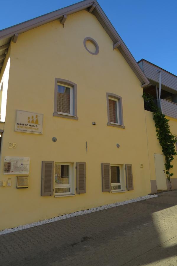 Gaestehaus Steinmuehle Osthofen Esterno foto